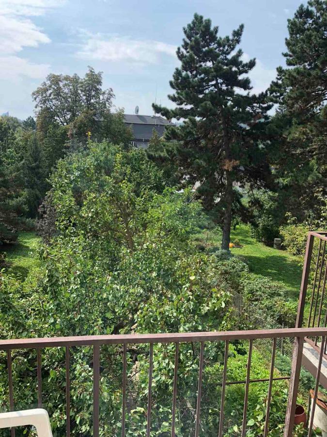 Hostel House Near Bvv-Vystaviste Брно Экстерьер фото